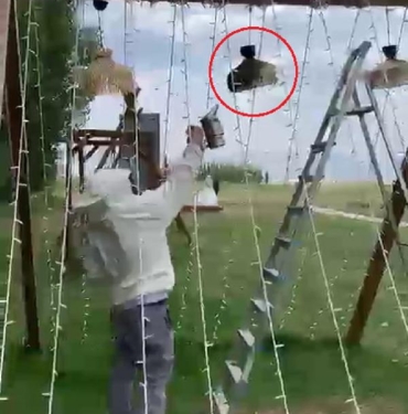 Gelin ve damatların fotoğraf çektirdiği platoyu arılar bastı 3 Gelin ve damatların fotoğraf çektirdiği platoyu arılar bastı