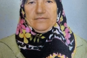 Geri manevra yapan kamyonetin çarptığı kadın öldü 15 Geri manevra yapan kamyonetin çarptığı kadın öldü