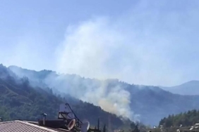 Hatayda orman yangını 3