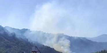 Hatayda orman yangını 3