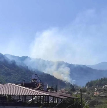 Hatayda orman yangını 3