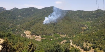 Hatayda orman yangını