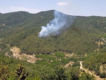 Hatayda orman yangını