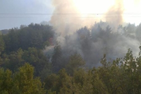 Hatayda orman yangını