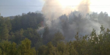 Hatayda orman yangını