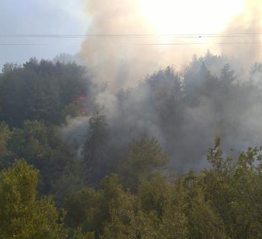 Hatayda orman yangını