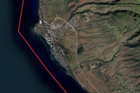 Havai orman yangınlarında acil durum ajansının başkanı istifa etti