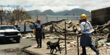 Havai’deki orman yangınlarında can kaybı 89’a yükseldi 23 Havaideki orman yangınlarında can kaybı 89a yükseldi
