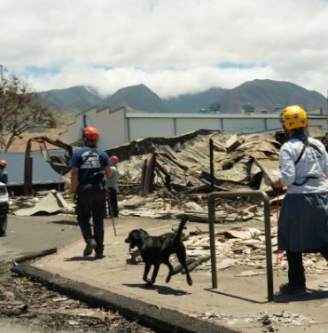 Havaideki orman yangınlarında can kaybı 89a yükseldi