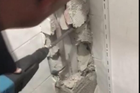 Havalandırma borusuna düşen 2 yavru kediyi itfaiye kurtardı