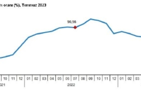 Hizmet üretici enflasyonu temmuzda yüzde 7933 oldu