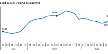 Hizmet üretici enflasyonu temmuzda yüzde 7933 oldu