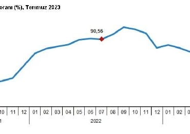 Hizmet üretici enflasyonu temmuzda yüzde 7933 oldu
