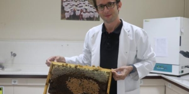 'İklim değişikliği kaynaklı arı ölümlerine karşı eylem planı hazırlanmalı' 25 İklim değişikliği kaynaklı arı ölümlerine karşı eylem planı hazırlanmalı