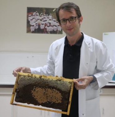 İklim değişikliği kaynaklı arı ölümlerine karşı eylem planı hazırlanmalı