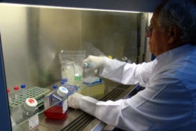 İngiltere'de araştırmalarda bulunan Prof.Dr. Hüseyin Yılmaz'dan göçmen kuş uyarısı 2 İngilterede araştırmalarda bulunan ProfDr Hüseyin Yılmazdan göçmen kuş uyarısı