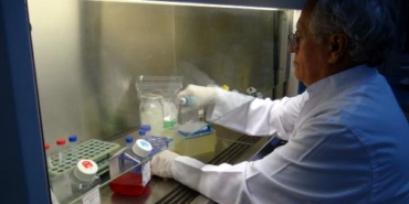 İngilterede araştırmalarda bulunan ProfDr Hüseyin Yılmazdan göçmen kuş uyarısı