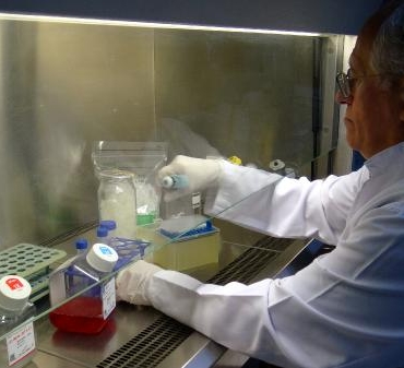 İngiltere'de araştırmalarda bulunan Prof.Dr. Hüseyin Yılmaz'dan göçmen kuş uyarısı 4 İngilterede araştırmalarda bulunan ProfDr Hüseyin Yılmazdan göçmen kuş uyarısı