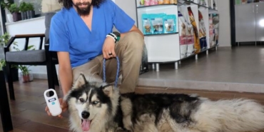 İstanbulda kaybolan köpek Edirnenin Keşan ilçesinde bulundu