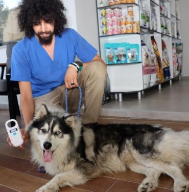 İstanbulda kaybolan köpek Edirnenin Keşan ilçesinde bulundu