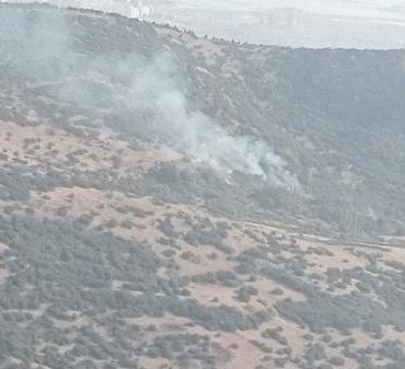 İzmirde 2 farklı noktada çıkan orman yangını kontrol altına alındı