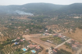 İzmir'de çıkan orman yangını, yarım saatte kontrol altına alındı 3 İzmirde çıkan orman yangını yarım saatte kontrol altına alındı