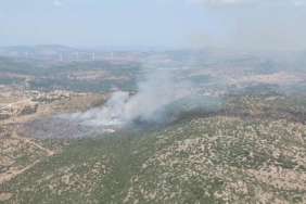 İzmirde makilik yangını