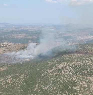 İzmirde makilik yangını