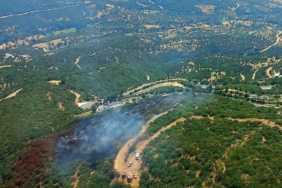 İzmirde orman yangını 2