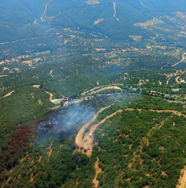 İzmir'de orman yangını (2) 2 İzmirde orman yangını 2