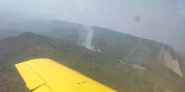 İzmirde orman yangını