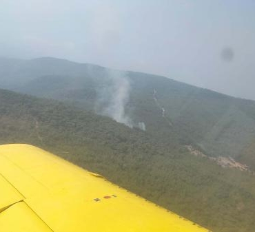 İzmirde orman yangını