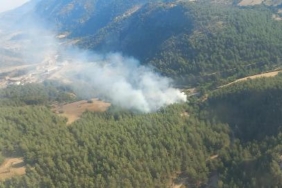 İzmirde orman yangını