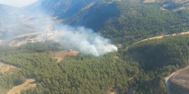 İzmirde orman yangını