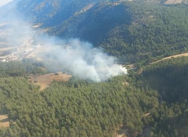 İzmirde orman yangını