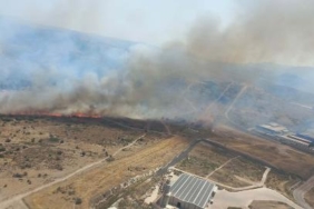 İzmirde otluk alanda yangın