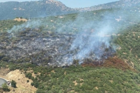 İzmirde otomobilde çıkan yangın ormana sıçradı