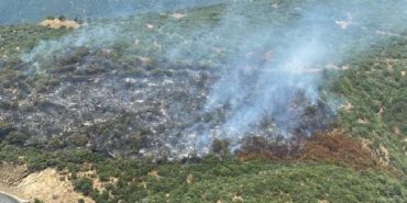 İzmir'de otomobilde çıkan yangın ormana sıçradı 19 İzmirde otomobilde çıkan yangın ormana sıçradı