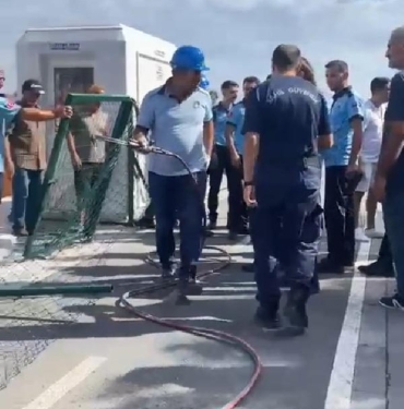 Kadıköyde İBB ve Su Ürünleri Kooperatifi arasında çit tartışması