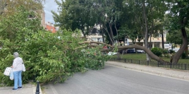 Kadıköy'de rüzgar nedeniyle ağaç devrildi 9 Kadıköyde rüzgar nedeniyle ağaç devrildi