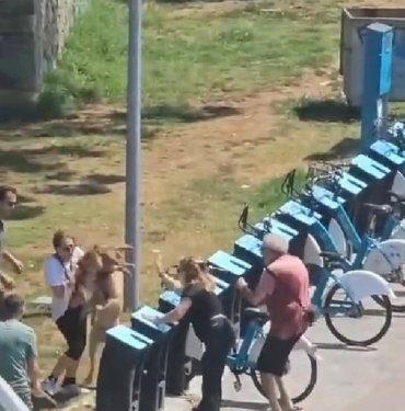 Kadıköyde tasmasız gezdirilen köpek dehşet saçtı