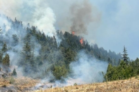 Kahramanmaraşta orman yangını 2