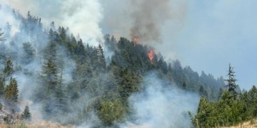 Kahramanmaraşta orman yangını 2