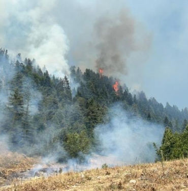 Kahramanmaraşta orman yangını 2