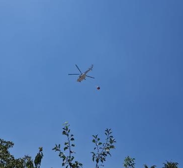 Kahramanmaraşta orman yangını