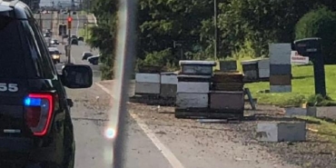 Kanada’da 5 milyon arıyı taşıyan kamyon kaza yaptı, arıcılar desteğe geldi-EK FOTOĞRAFLAR