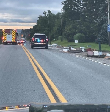 Kanadada 5 milyon arıyı taşıyan kamyon kaza yaptı arıcılar desteğe geldi