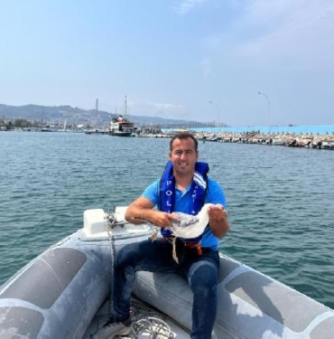 Kanatları ıslandığı için uçamayan martı dalgıç polisler tarafından kurtarıldı