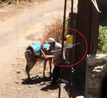 Kapıya bağlı eşeğe uygulanan şiddet kamerada