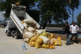 Karadeniz 'fındık' yolu 7 Karadeniz fındık yolu